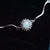 Halo Glow: Crystal Opal Bracelet Radiating Elegance-Vsabel Jewellery