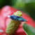 Dainty rainbow australian boulder opal ring in 925 silver-Vsabel Jewellery