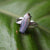 Majestic mauve australian boulder opal ring in 925 sterling silver-Vsabel Jewellery