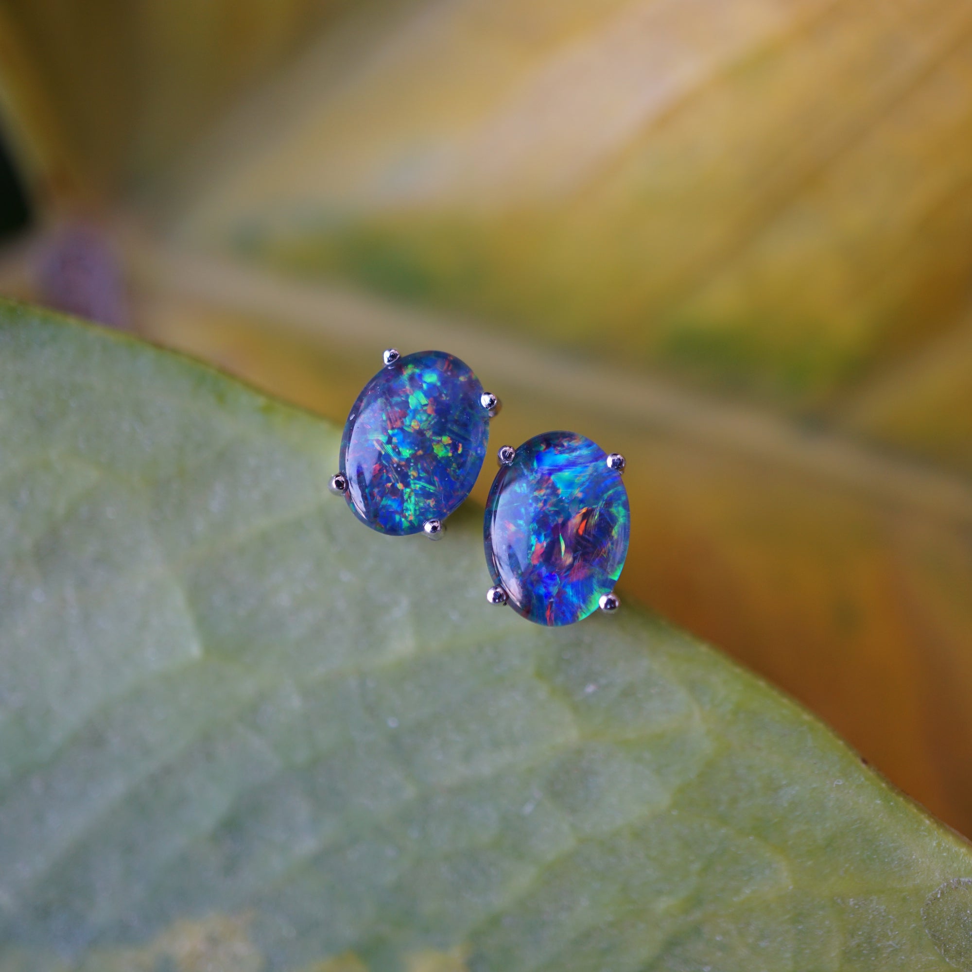 Elegant 18k White Gold Opal Earring Studs - Natural Australian Triplet Opal-Vsabel Jewellery